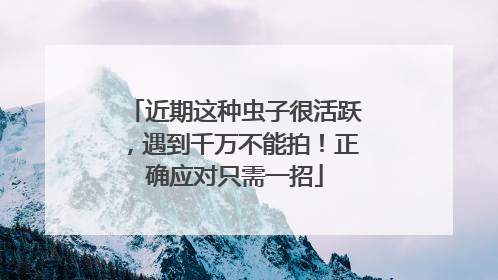 近期这种虫子很活跃，遇到千万不能拍！正确应对只需一招