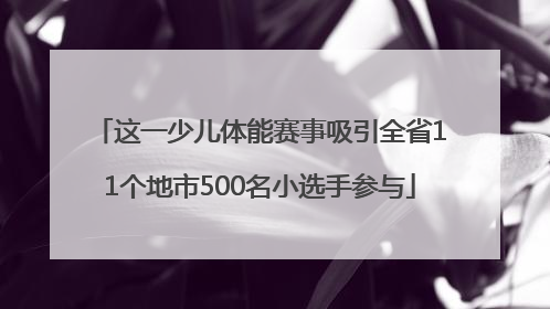 这一少儿体能赛事吸引全省11个地市500名小选手参与