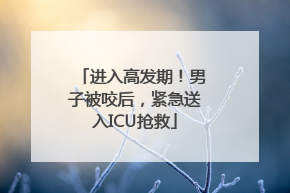 进入高发期！男子被咬后，紧急送入ICU抢救