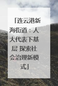 连云港新海街道：人大代表下基层 探索社会治理新模式
