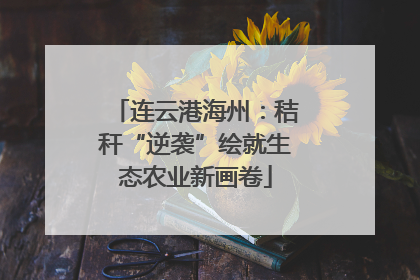 连云港海州：秸秆“逆袭”绘就生态农业新画卷