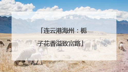 连云港海州：栀子花香溢致富路