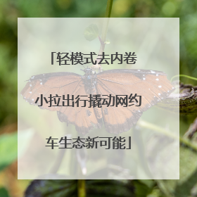 轻模式去内卷 小拉出行撬动网约车生态新可能