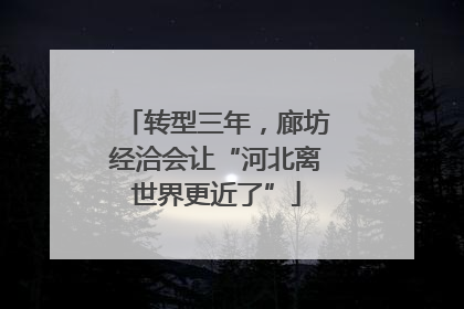 转型三年，廊坊经洽会让“河北离世界更近了”