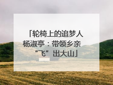 轮椅上的追梦人杨淑亭：带领乡亲“飞”出大山