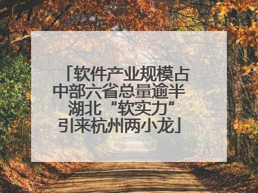 软件产业规模占中部六省总量逾半 湖北“软实力”引来杭州两小龙