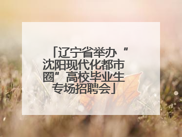 辽宁省举办“沈阳现代化都市圈”高校毕业生专场招聘会