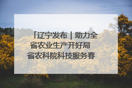 辽宁发布｜助力全省农业生产开好局 省农科院科技服务春耕备耕成效显著