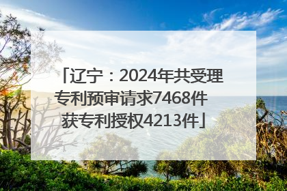 辽宁：2024年共受理专利预审请求7468件 获专利授权4213件