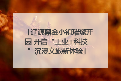 辽源黑金小镇璀璨开园 开启“工业+科技”沉浸文旅新体验