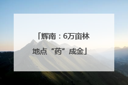 辉南：6万亩林地点“药”成金