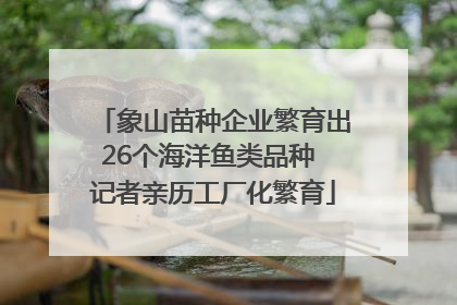 象山苗种企业繁育出26个海洋鱼类品种 记者亲历工厂化繁育