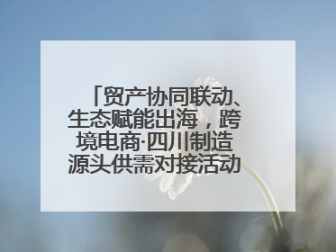 贸产协同联动、生态赋能出海，跨境电商·四川制造源头供需对接活动在成都举办