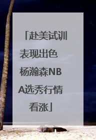 赴美试训表现出色 杨瀚森NBA选秀行情看涨