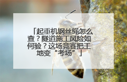 起重机钢丝绳怎么查？隧道施工风险如何验？这场竞赛把工地变“考场”