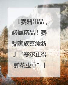 赛鼎出品，必属精品！赛鼎家族喜添新丁“赛尔正得蝉花虫草”