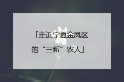 走近宁夏金凤区的“三新”农人