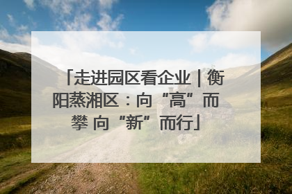 走进园区看企业｜衡阳蒸湘区：向“高”而攀 向“新”而行