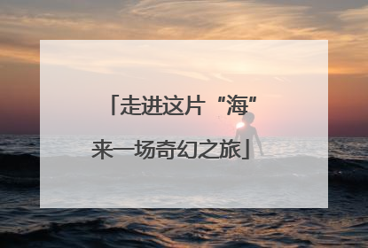 走进这片“海”来一场奇幻之旅