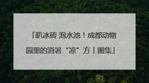 趴冰砖 泡水池！成都动物园里的消暑“凉”方丨图集