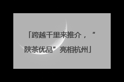 跨越千里来推介，“陕茶优品”亮相杭州