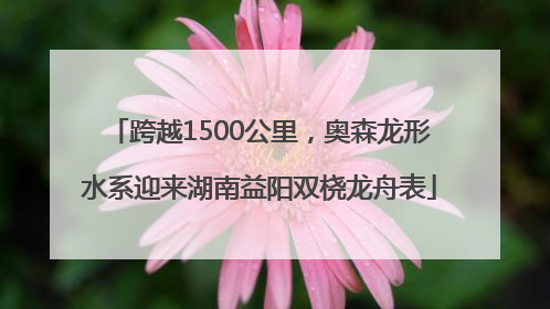 跨越1500公里，奥森龙形水系迎来湖南益阳双桡龙舟表