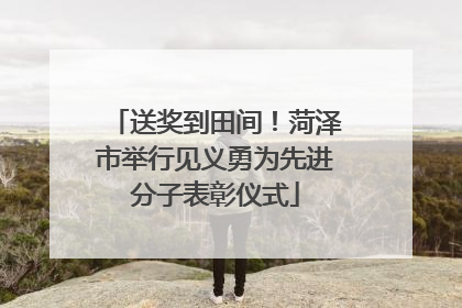 送奖到田间！菏泽市举行见义勇为先进分子表彰仪式