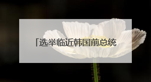 选举临近韩国前总统们发声 为候选人“站台”都说些什么