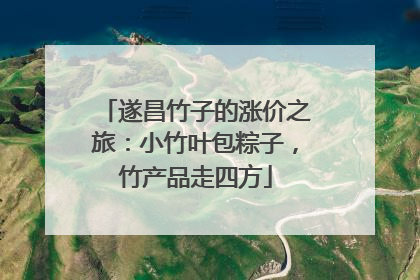 遂昌竹子的涨价之旅：小竹叶包粽子，竹产品走四方