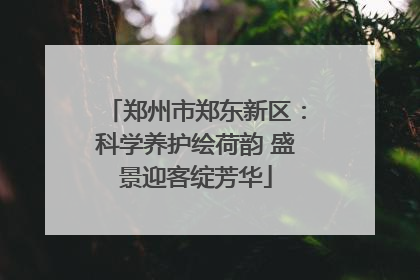 郑州市郑东新区：科学养护绘荷韵 盛景迎客绽芳华