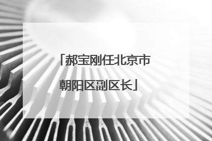 郝宝刚任北京市朝阳区副区长