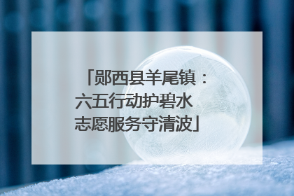 郧西县羊尾镇：六五行动护碧水 志愿服务守清波