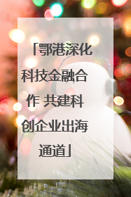 鄂港深化科技金融合作 共建科创企业出海通道