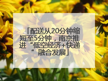 配送从20分钟缩短至5分钟，南京推进“低空经济+快递”融合发展