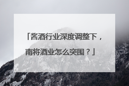 酱酒行业深度调整下，南将酒业怎么突围？
