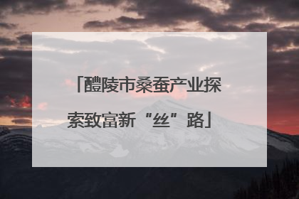 醴陵市桑蚕产业探索致富新“丝”路