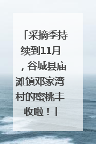 采摘季持续到11月，谷城县庙滩镇邓家湾村的蜜桃丰收啦！