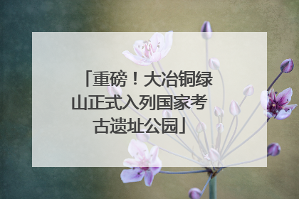 重磅！大冶铜绿山正式入列国家考古遗址公园