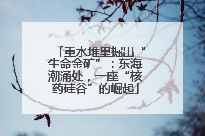 重水堆里掘出“生命金矿”：东海潮涌处，一座“核药硅谷”的崛起