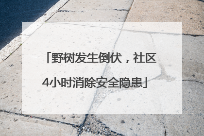 野树发生倒伏，社区4小时消除安全隐患