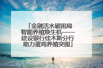 金融活水破困局 智能养殖焕生机——建设银行佳木斯分行助力蛋鸡养殖突围