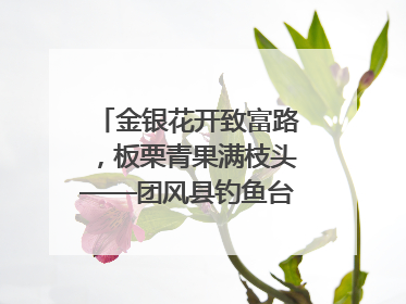 金银花开致富路，板栗青果满枝头——团风县钓鱼台村“山水生金”谱写共富新篇章