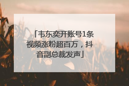 韦东奕开账号1条视频涨粉超百万，抖音副总裁发声