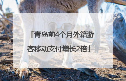 青岛前4个月外籍游客移动支付增长2倍