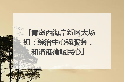 青岛西海岸新区大场镇：综治中心强服务，和谐港湾暖民心