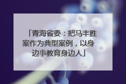 青海省委：把马丰胜案作为典型案例，以身边事教育身边人