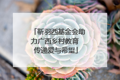 靳羽西基金会助力广西乡村教育 传递爱与希望