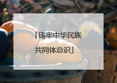 铸牢中华民族共同体意识