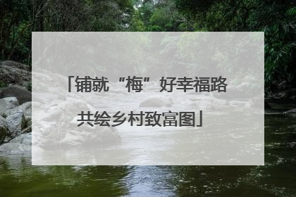 铺就“梅”好幸福路 共绘乡村致富图