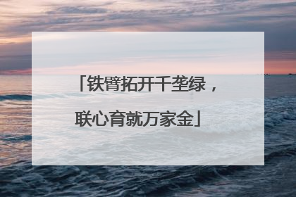铁臂拓开千垄绿，联心育就万家金